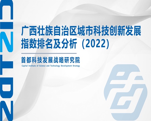 欧美操插bb【成果发布】广西壮族自治区城市科技创新发展指数排名及分析（2022）